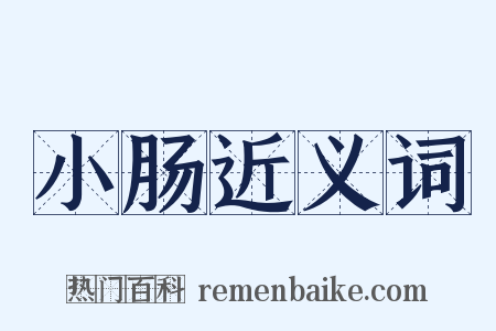 小肠近义词是什么意思的图片